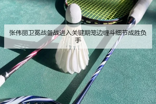 张伟丽卫冕战备战进入关键期笼边缠斗细节成胜负手